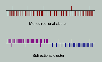 cluster